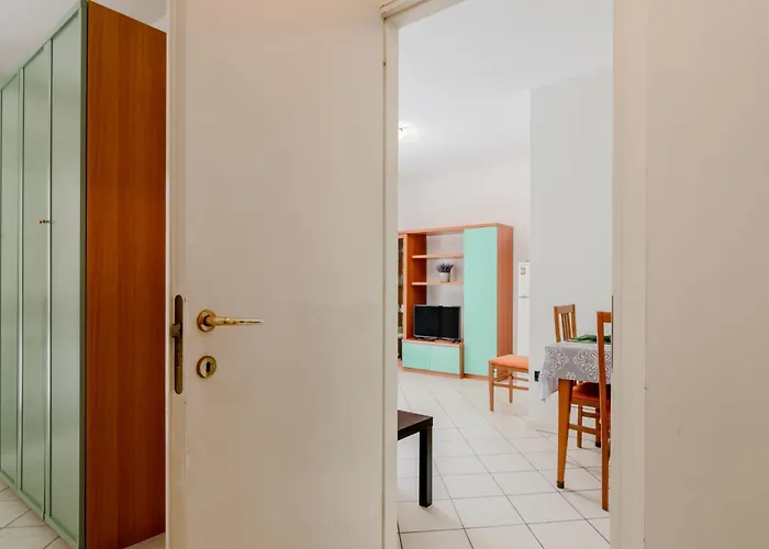 Sunny Andreas Cbb Rimini